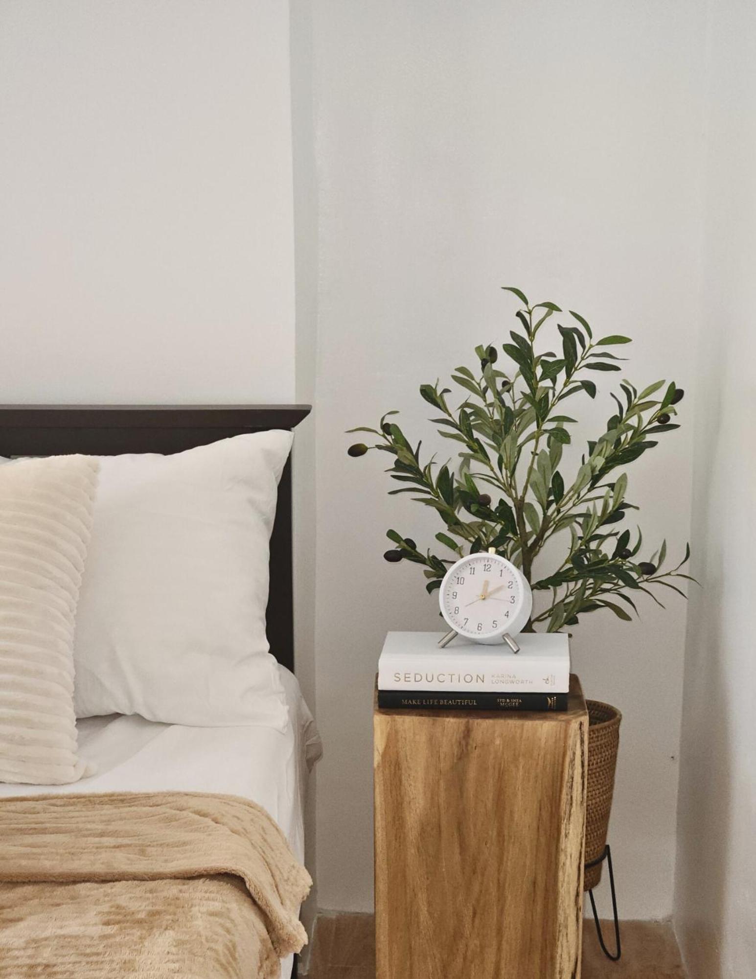 The Traveller'S Haven Airbnb Cebu Eksteriør bilde